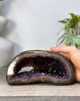 Amethyst Geode with Polished Shell - STGE0099