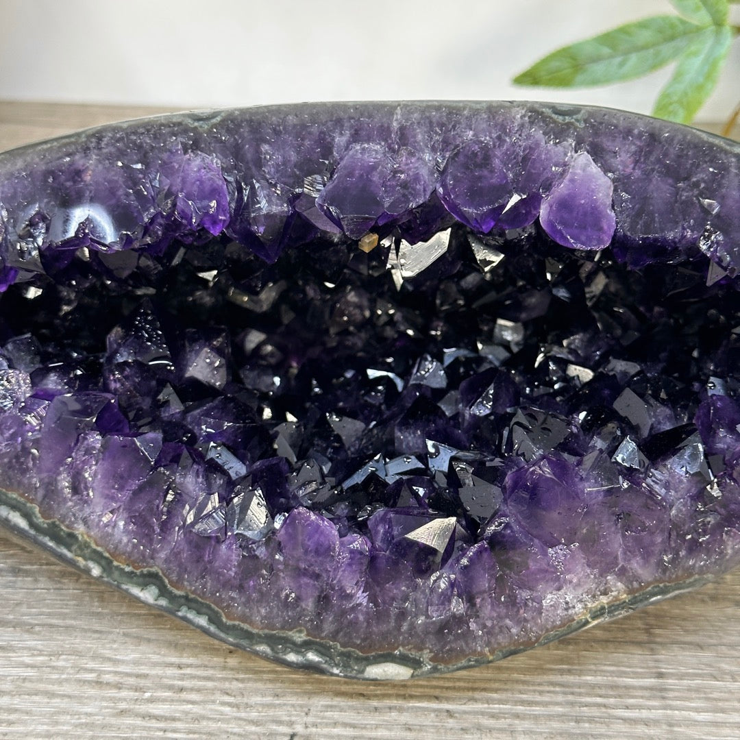 A+ GRade Amethyst Geode from Uruguay - STGE0069