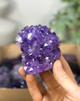 Mineral Specimens Lot - MSLT0232