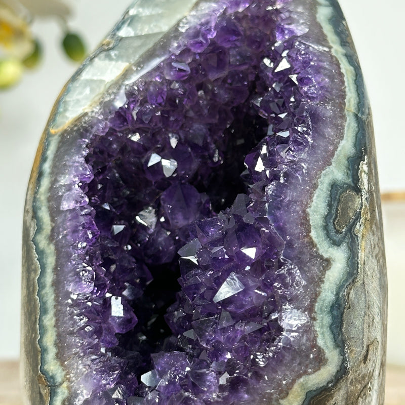 Stunning Natural Amethyst Geode with Jasper Shell - CBP1085