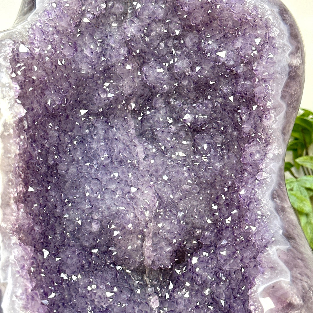 XXL 50 lb Agate &amp; Amethyst Geode Statement Piece from Uruguay - CBP1441