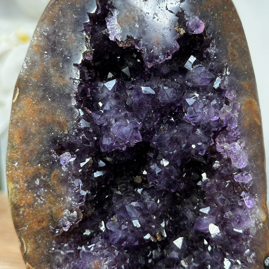 Display Amethyst - Home Decore and Collection – Southern Minerals