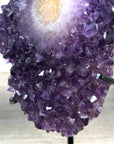 Natural Uruguayan Amethyst Crystal Formation with Stand - MWS2251