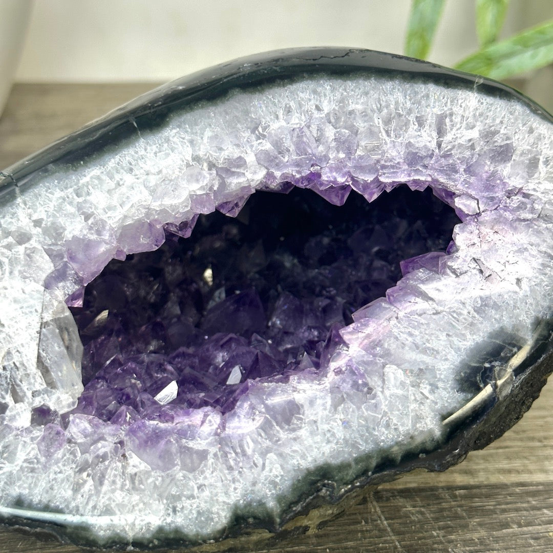 Natural Amethyst Geode with Quartz Shell - STGE0041