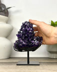 Natural Top Grade Amethyst Stalctite on Stand - MWS3370