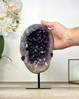 Premium Quality Uruguayan Amethyst Geode on Stand - MWS2977