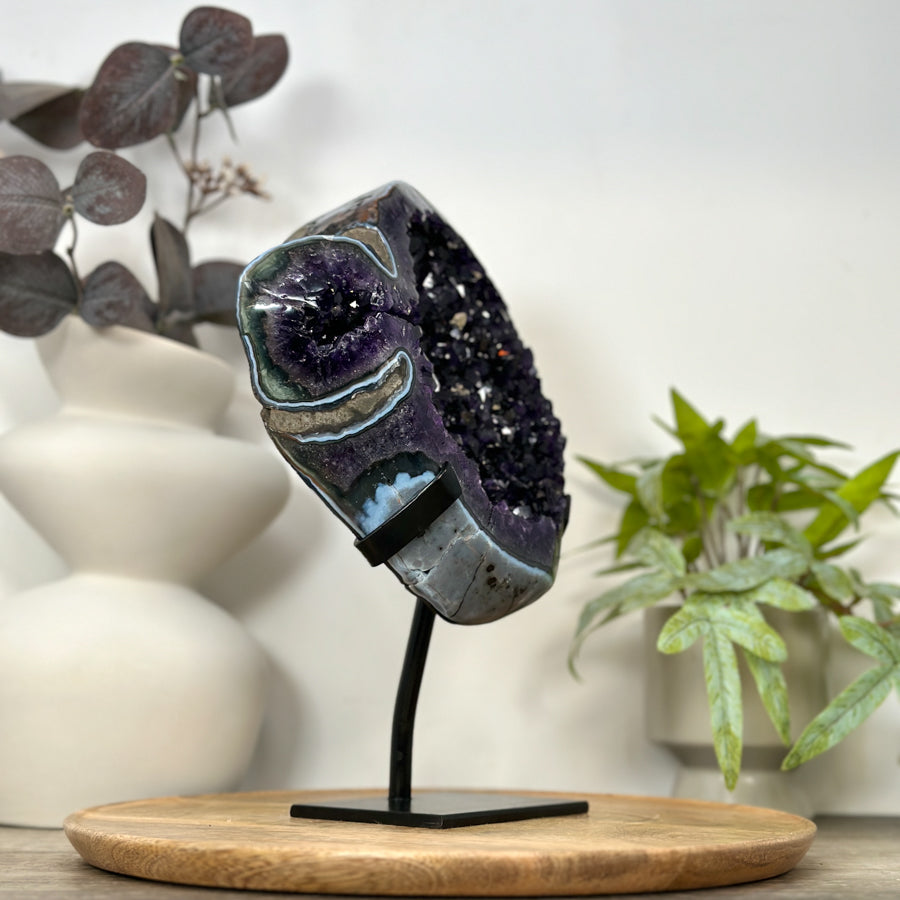 Natural Top Quality Amethyst Geode with Blue Abate Shell - MWS3073