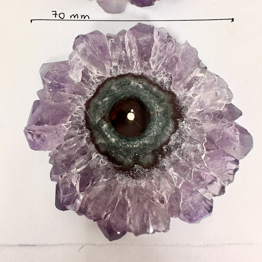 High-Quality XXL Amethyst Stalactite Slices for Jewelers - Wholesale Bulk Pack - STS0068