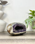 Uruguayan Amethyst Geode with Polished Shell - STGE0120