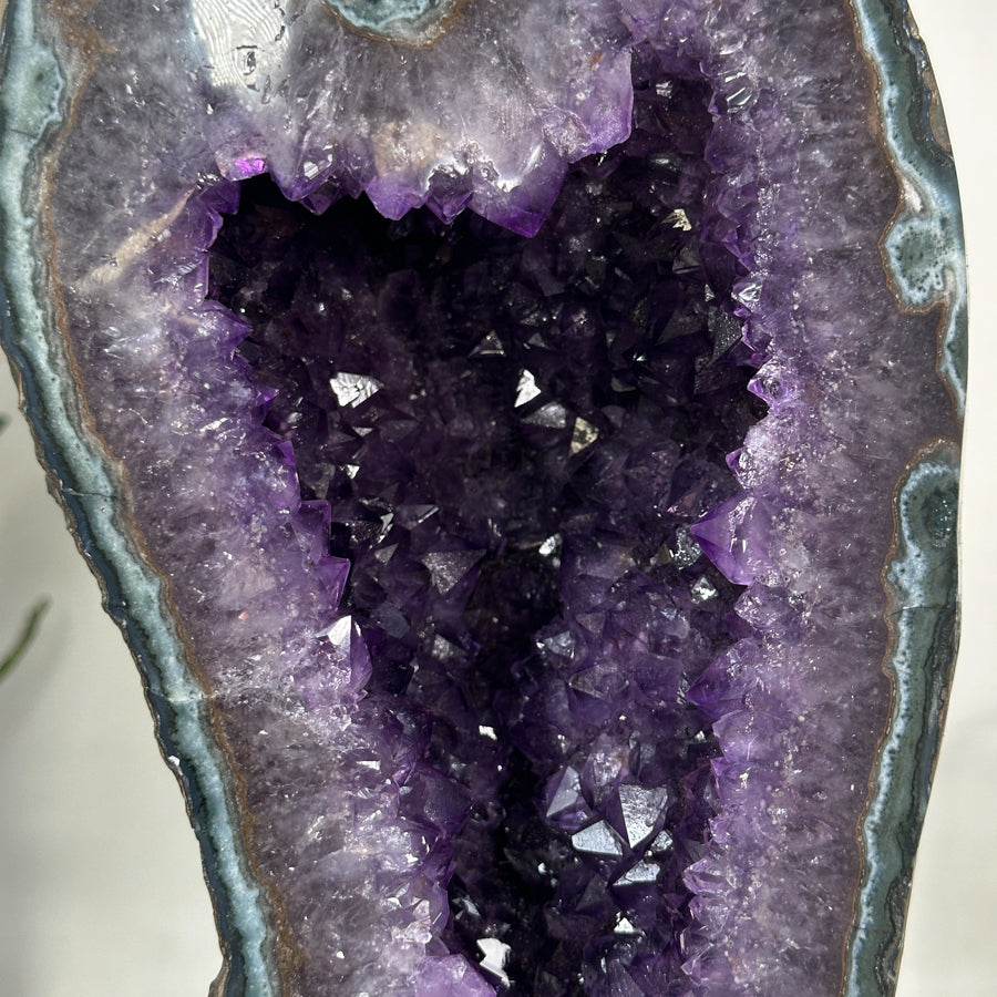 Uruguayan Amethyst Geode with Deep Purple Crystals and Green Jasper Shell - MWS2801