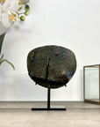 Agate Geode with Druzy Crystals on Metal Stand – Unique Natural Display Piece - MWS2863