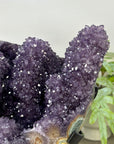 Unqiue Collection Grade Amethyst & Jasper Stalactite Formation - MWS3399
