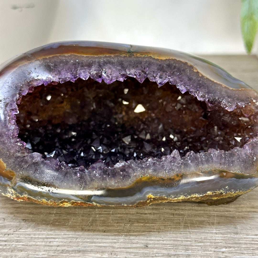 Natural Amethyst Geode with agate Shell - STGE0117