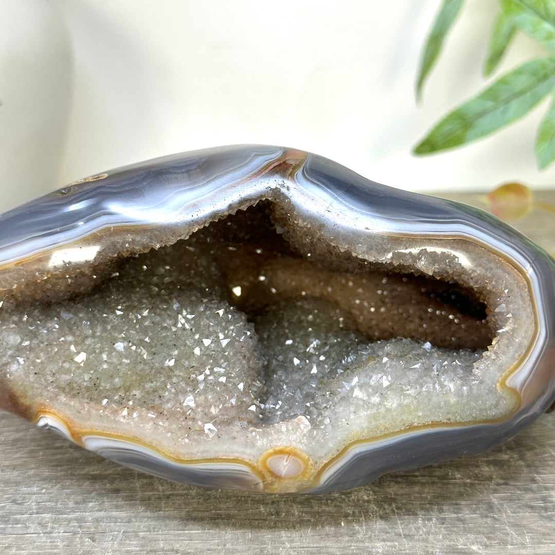 Blue Agate &amp; Quartz Druzy Stone Geode - STGE0075