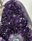 Natural Amethyst & Blue Agate Shell Statement Piece - MWS3116