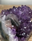 Amethyst Crystal Cluster with Calcite Inclusion - CBP1151