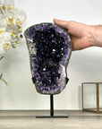 Natural Large Amethyst Geode with Shinny Crystals on Metal Stand - MWS2821