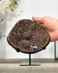 Brown Tone Druzy Agate Geode for Home Decor Display - MWS2675