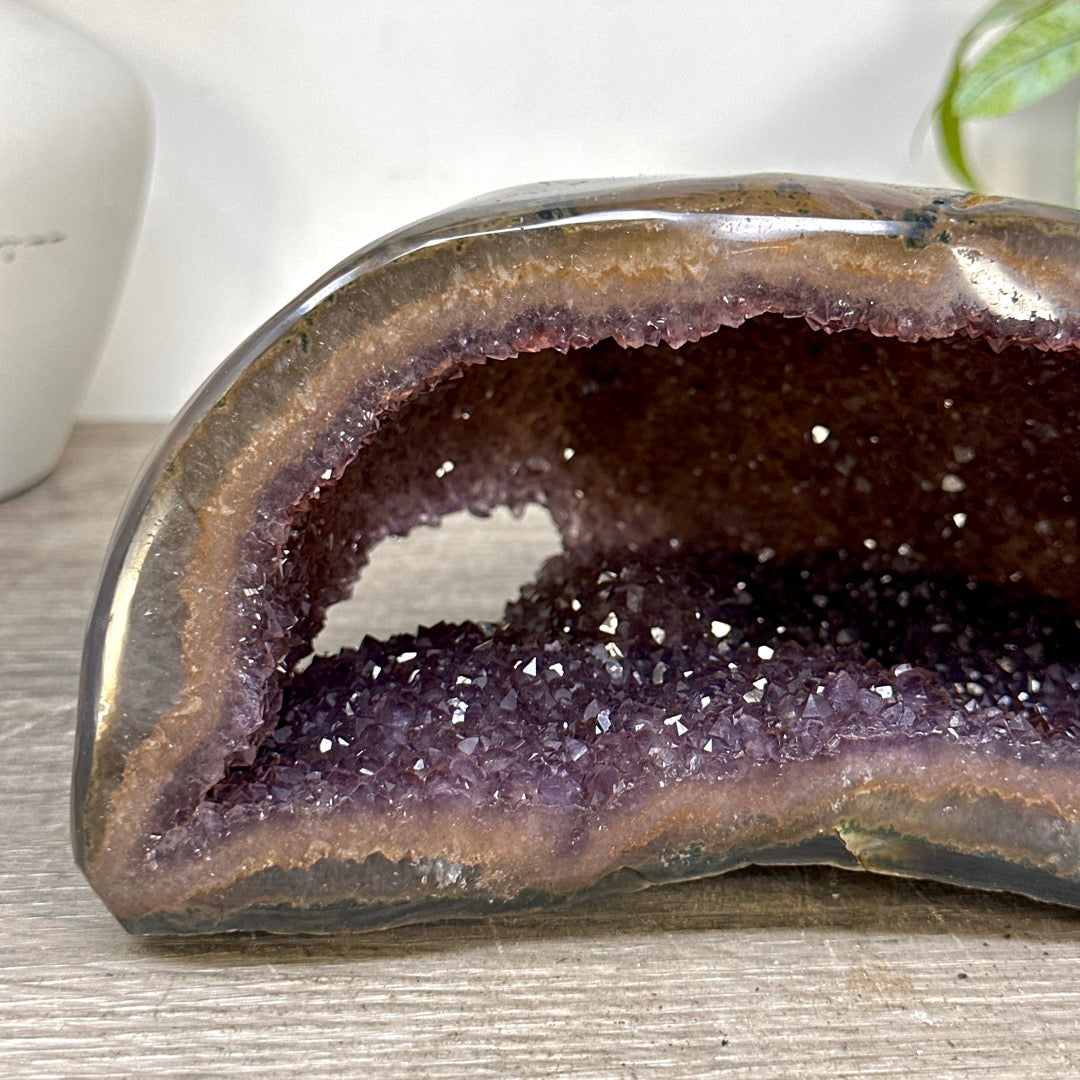 Amethyst Geode with Polished Shell - STGE0099