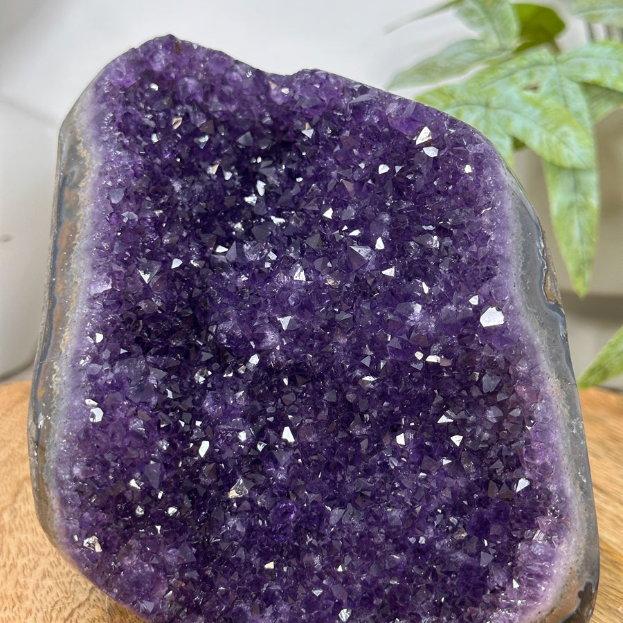 Natural Amethyst Self Standing Cathedral - CBP1294
