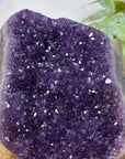 Natural Amethyst Self Standing Cathedral - CBP1294