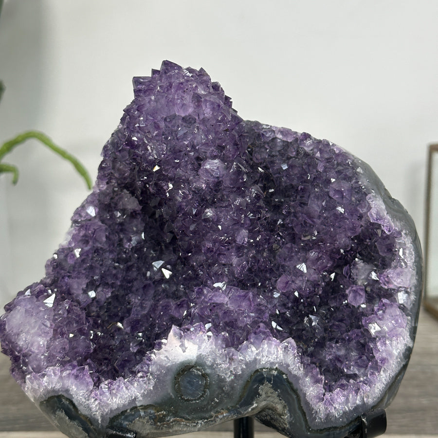 Amethyst Crystal Cluster on Stand – Stalactite Mineral Specimen for Collector Display - MWS2686