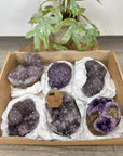 Mineral Specimens Lot - MSLT0210