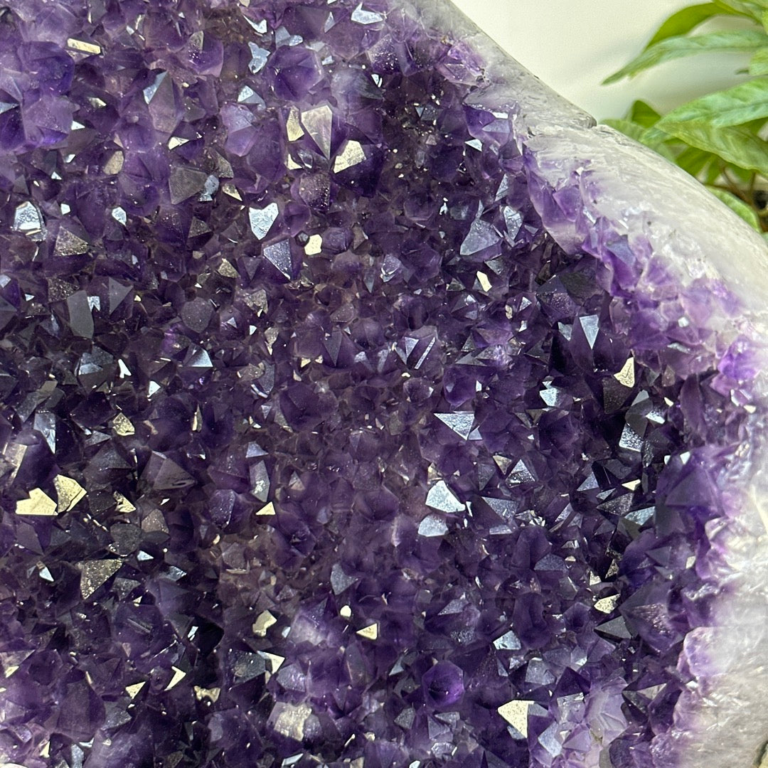 Large Natural Self Standing Amethyst Geode from uruguay - STGE0088