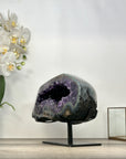 Huge Top Grade Amethyst Geode - Statement Piece for Home Decor - MWS2988