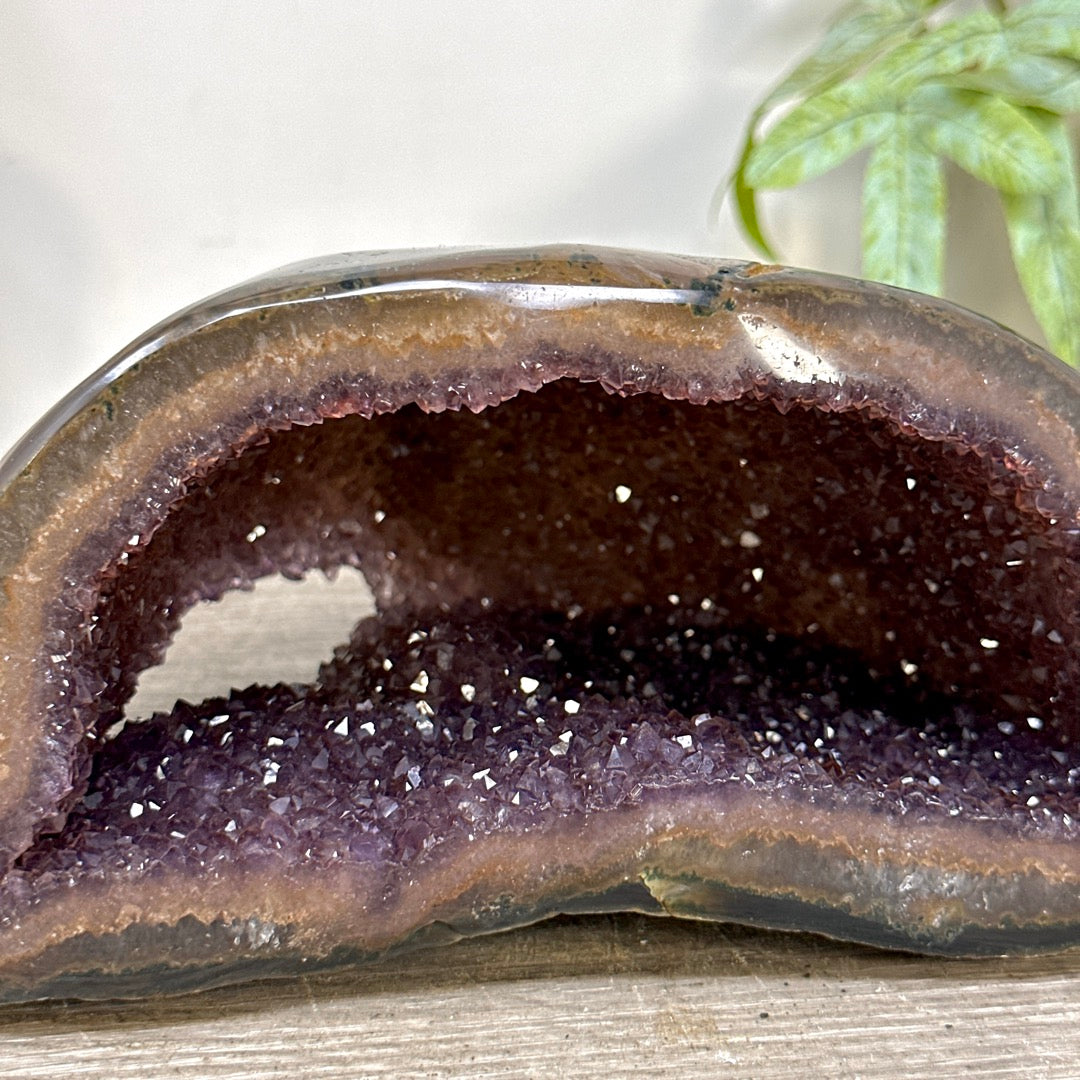 Amethyst Geode with Polished Shell - STGE0099