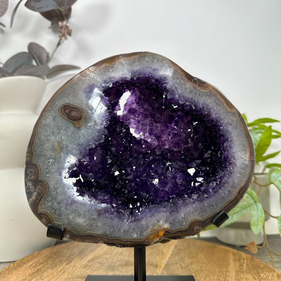 Amethyst &amp; Agate Geode with Polished Shell on Metal Stand - MWS3106