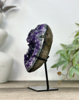 Natural uruguayan Amethyst Cluster on Stand - MWS3270