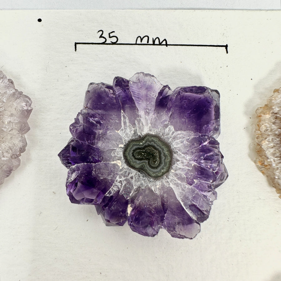 Genuine Amethyst &amp; Agate Stalactite Slices Flat - Perfect for Crafting Unique Jewelry - STS0033