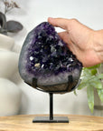 A+ Grade Amethyst Cluster from Uruguay on Metal Stand - MWS3053
