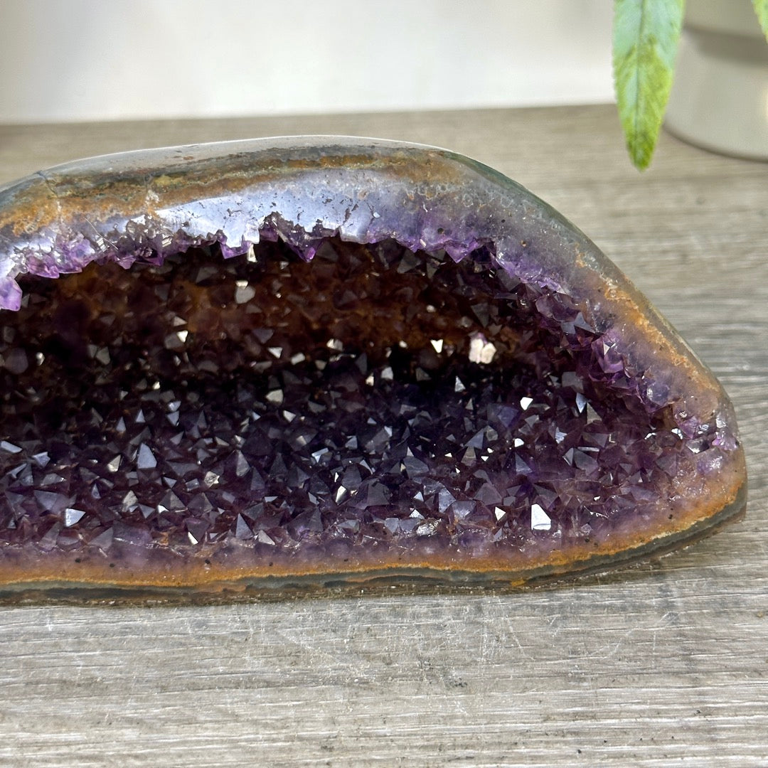 Uruguayan Amethyst Geode with Polished Agate Shell - STGE0118