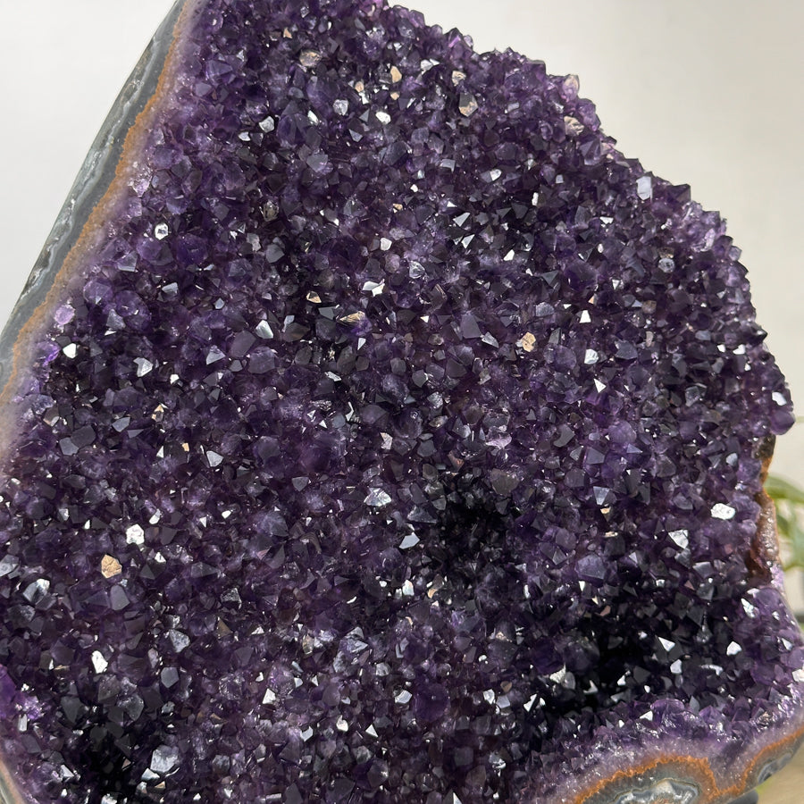 Huge Natural Bicolor Amethyst Cluster - Stand Included - MWS3041