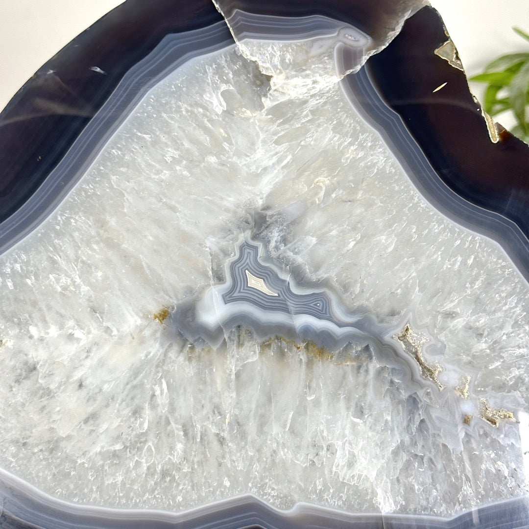 XL Blue Banded Agate Slice - SLC0025