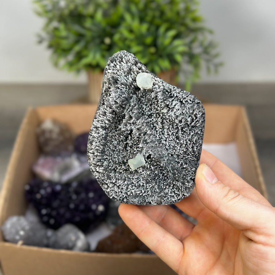 Mineral Specimens Lot - MSLT0186