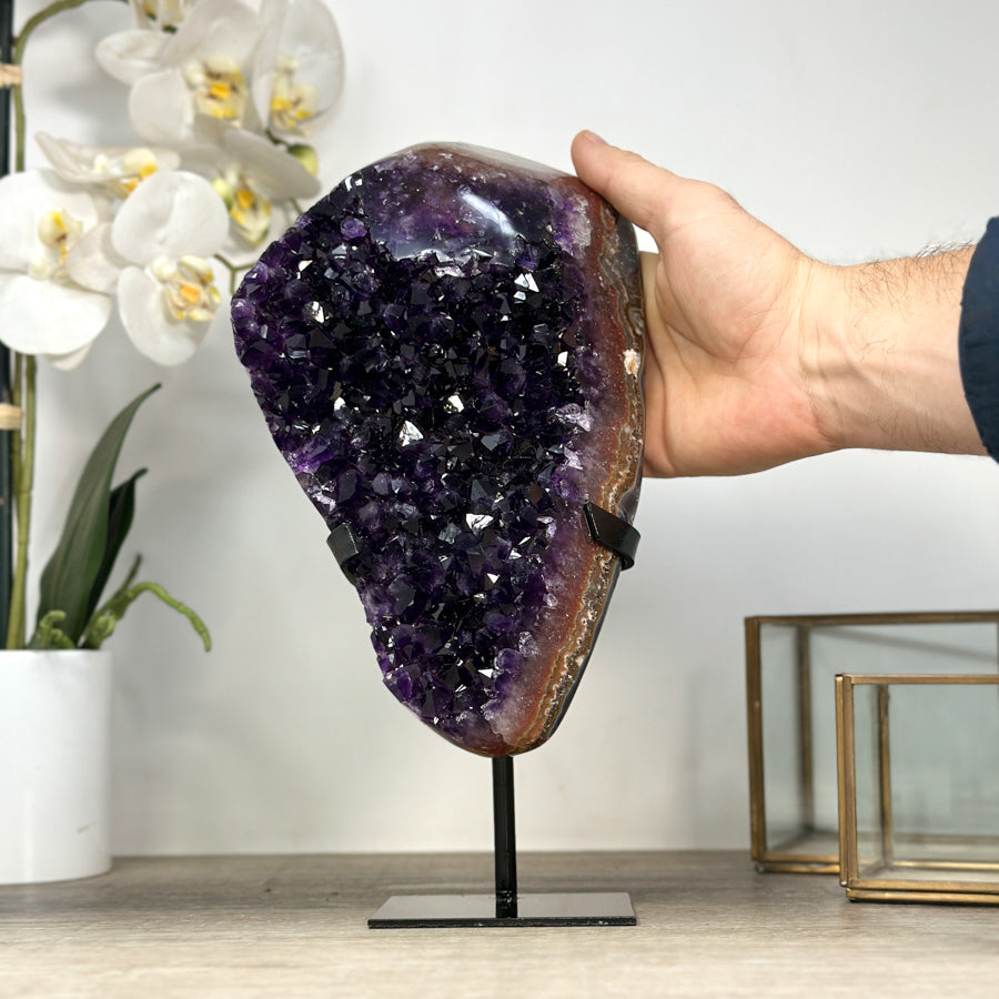Top Grade Uruguayan Amethyst Cluster with Beautiful Banded Shell - MWS2190