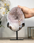 Large Sugar Amethyst Geode with Blue Banded agate Shell - MWS2189