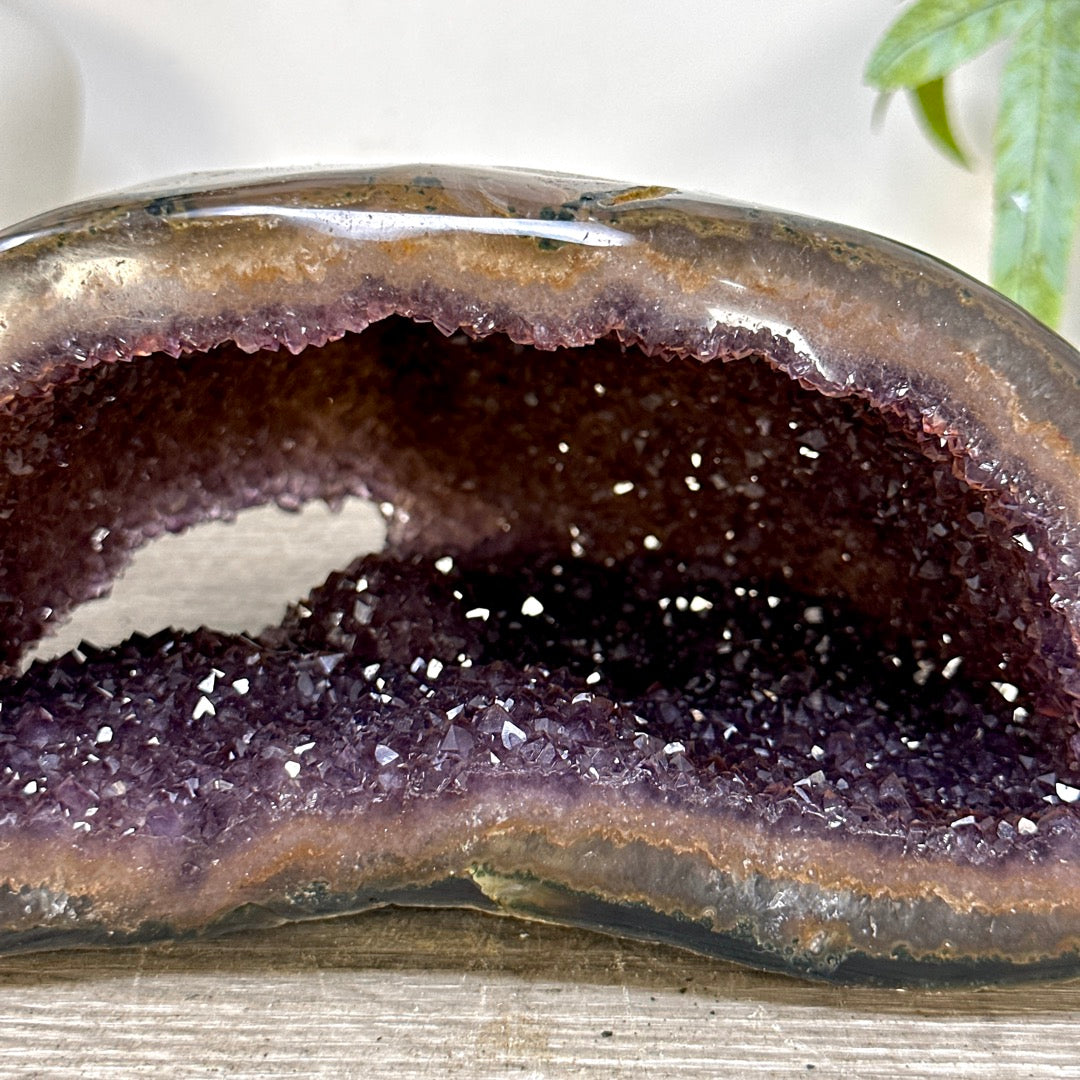 Amethyst Geode with Polished Shell - STGE0099