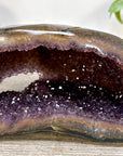 Amethyst Geode with Polished Shell - STGE0099