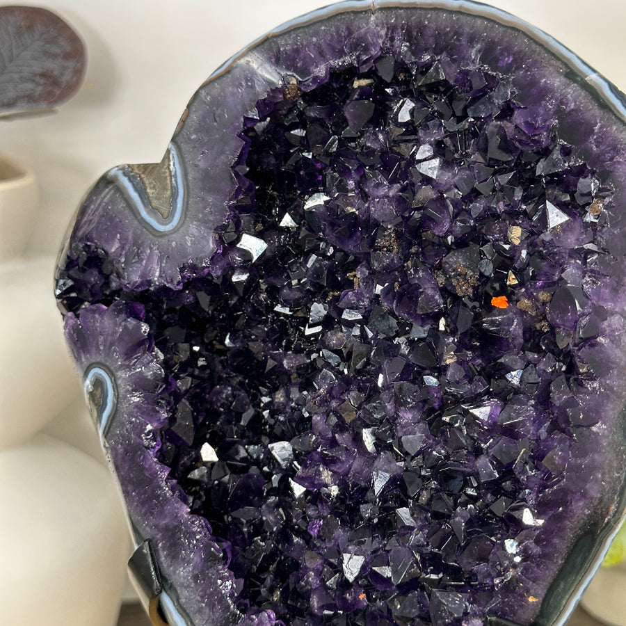 Natural Top Quality Amethyst Geode with Blue Abate Shell - MWS3073
