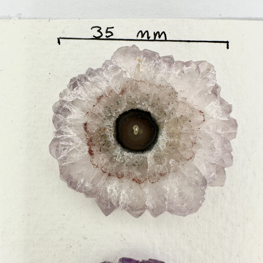 Natural Amerhyst Stalactite Slices Wholesale Flat - Ideal for Pendants - STS0036