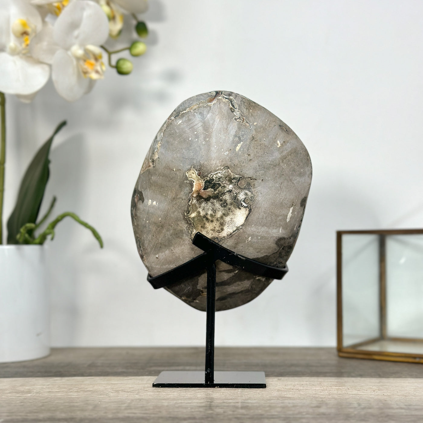 Amethyst Crystal Cluster with White Calcite Inclusions – Home Decor Display Piece - MWS2677