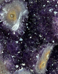 Huge 17 in tall Premium Amethyst Specimen - MWS2050