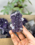 Mineral Specimens Lot - MSLT0220