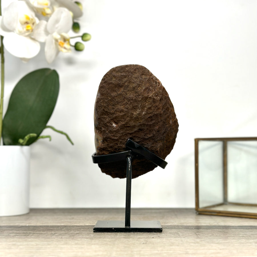 Natural Quartz Geode full of Stalactite Formations - MWS2879