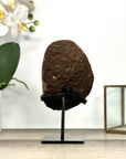 Natural Quartz Geode full of Stalactite Formations - MWS2879