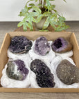 Mineral Specimens Lot - MSLT0206